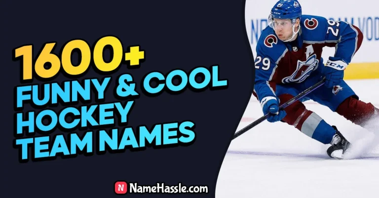 2600+ Unique & Funny Hockey Team Names Ideas (Generator)