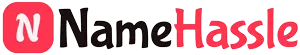 NameHassle logo